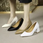 Basic Pumps Pointed Toe High Heels Boat